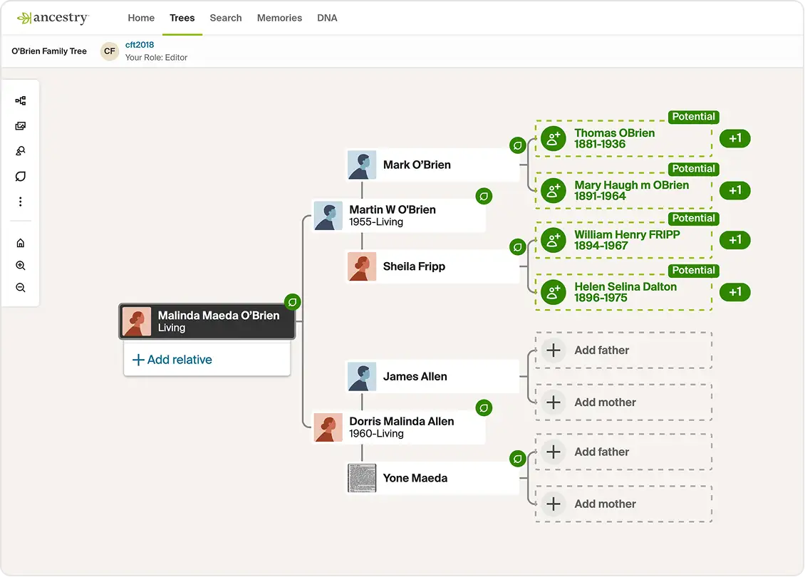 Ancestry dashboard preview